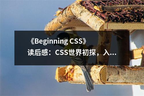 《Beginning CSS》讀后感：CSS世界初探，入門之路漫漫 (700字)
