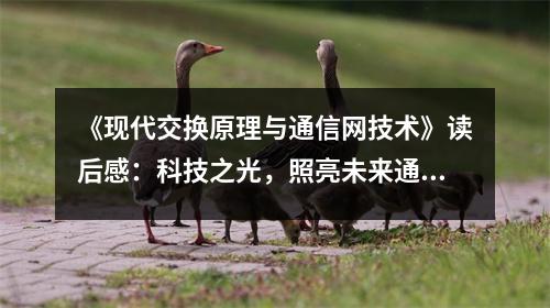 《現(xiàn)代交換原理與通信網(wǎng)技術》讀后感：科技之光，照亮未來通信之路 (650字)