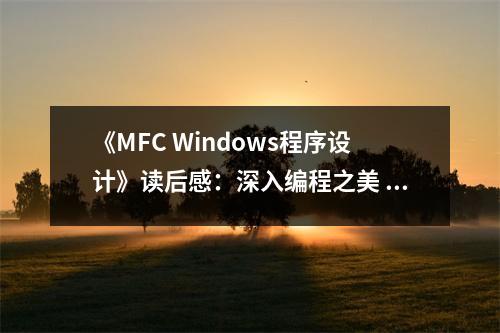 《MFC Windows程序設計》讀后感：深入編程之美 (950字)