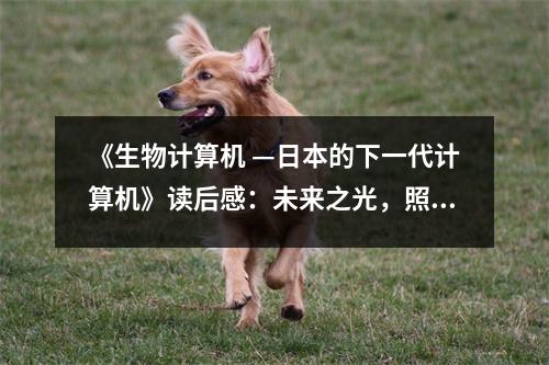 《生物計算機 —日本的下一代計算機》讀后感：未來之光，照亮科技新紀元 (1000字)