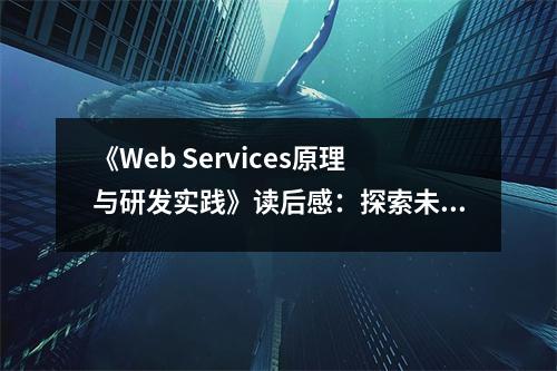 《Web Services原理與研發(fā)實(shí)踐》讀后感：探索未來科技的魅力 (900字)