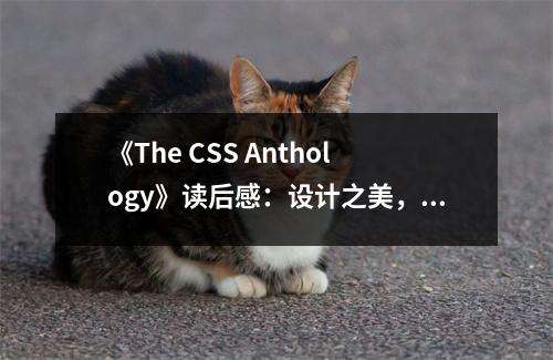 《The CSS Anthology》讀后感：設(shè)計(jì)之美，啟程未來 (1000字)