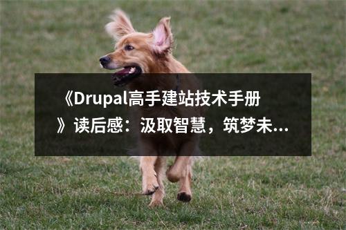 《Drupal高手建站技術(shù)手冊》讀后感：汲取智慧，筑夢未來 (800字)