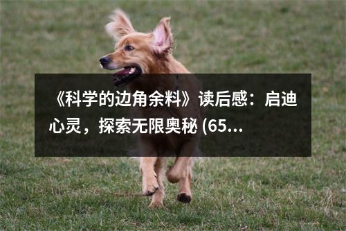 《科學(xué)的邊角余料》讀后感：啟迪心靈，探索無限奧秘 (650字)