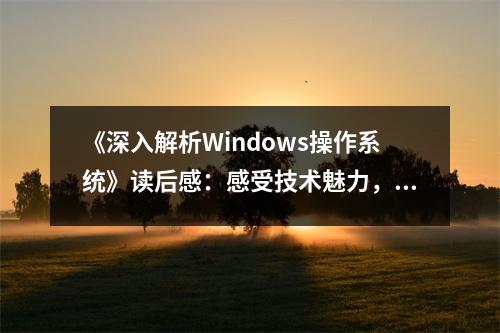 《深入解析Windows操作系統(tǒng)》讀后感：感受技術魅力，探尋無限可能 (1000字)