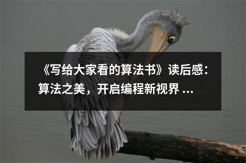 《寫給大家看的算法書》讀后感：算法之美，開啟編程新視界 (900字)