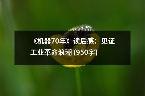 《機器70年》讀后感：見證工業(yè)革命浪潮 (950字)