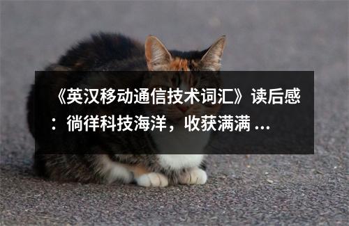 《英漢移動(dòng)通信技術(shù)詞匯》讀后感：徜徉科技海洋，收獲滿(mǎn)滿(mǎn) (700字)