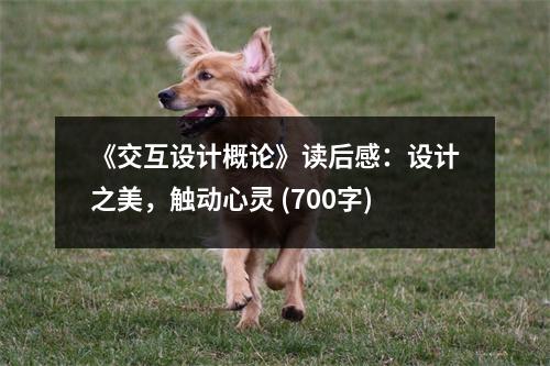 《交互設(shè)計(jì)概論》讀后感：設(shè)計(jì)之美，觸動(dòng)心靈 (700字)