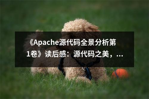 《Apache源代碼全景分析第1卷》讀后感：源代碼之美，如山川壯麗 (700字)