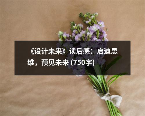 《設計未來》讀后感：啟迪思維，預見未來 (750字)
