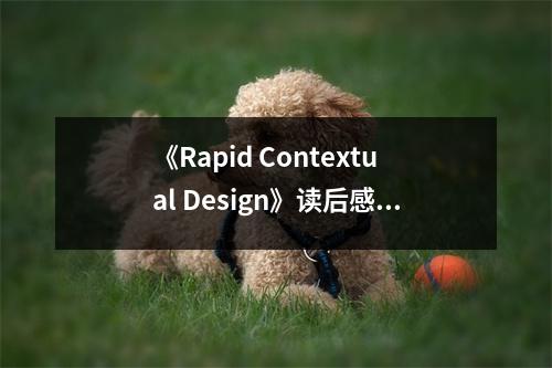 《Rapid Contextual Design》讀后感：設(shè)計(jì)之道，啟迪心靈 (800字)