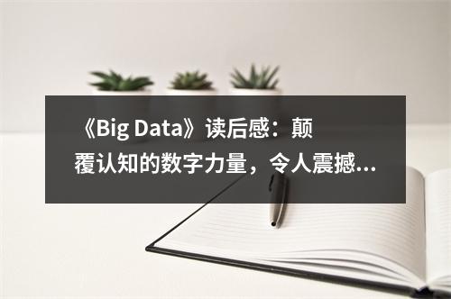 《Big Data》讀后感：顛覆認(rèn)知的數(shù)字力量，令人震撼 (900字)