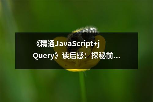 《精通JavaScript+jQuery》讀后感：探秘前端世界的奇妙旅程 (750字)