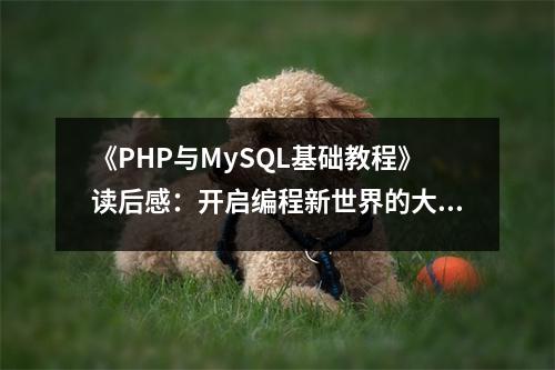《PHP與MySQL基礎(chǔ)教程》讀后感：開(kāi)啟編程新世界的大門 (650字)