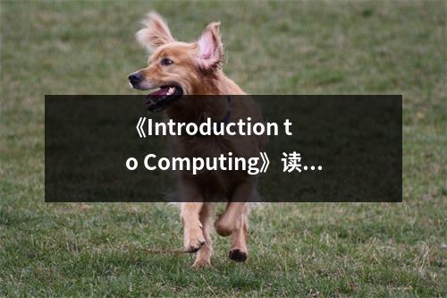 《Introduction to Computing》讀后感：編程世界，探索無限可能 (950字)
