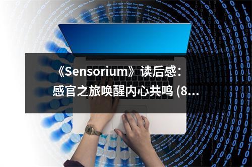 《Sensorium》讀后感：感官之旅喚醒內(nèi)心共鳴 (850字)