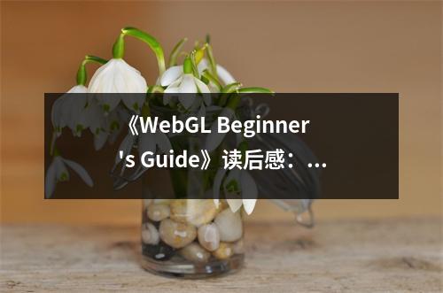 《WebGL Beginner's Guide》讀后感：打開(kāi)新視界的大門 (700字)