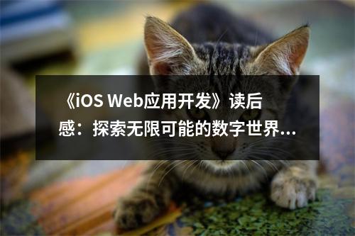 《iOS Web應(yīng)用開發(fā)》讀后感：探索無限可能的數(shù)字世界 (750字)