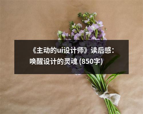 《主動(dòng)的ui設(shè)計(jì)師》讀后感：?jiǎn)拘言O(shè)計(jì)的靈魂 (850字)
