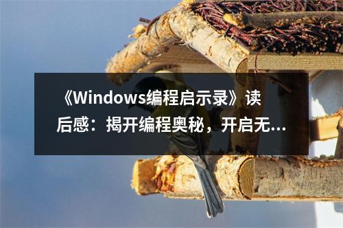《Windows編程啟示錄》讀后感：揭開(kāi)編程奧秘，開(kāi)啟無(wú)限可能 (600字)