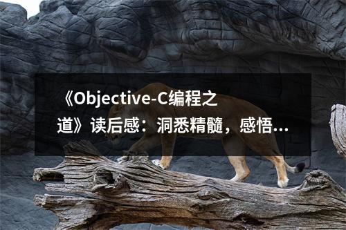 《Objective-C編程之道》讀后感：洞悉精髓，感悟技術之美 (850字)