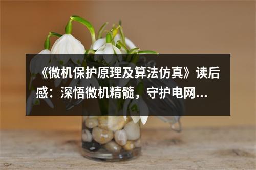《微機保護原理及算法仿真》讀后感：深悟微機精髓，守護電網(wǎng)安全 (900字)