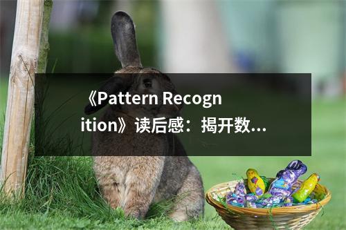 《Pattern Recognition》讀后感：揭開數(shù)據(jù)背后的秘密 (750字)