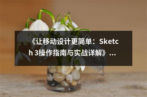 《讓移動設計更簡單：Sketch 3操作指南與實戰(zhàn)詳解》讀后感：設計之路，Sketch相伴成長 (850字)