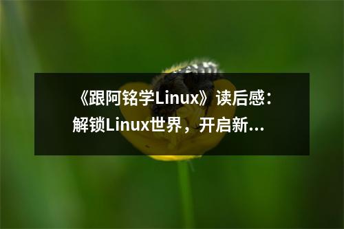《跟阿銘學(xué)Linux》讀后感：解鎖Linux世界，開(kāi)啟新視界 (750字)