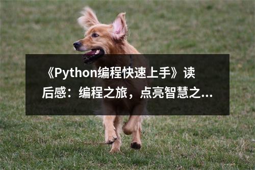 《Python編程快速上手》讀后感：編程之旅，點亮智慧之光 (1100字)