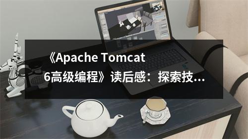 《Apache Tomcat 6高級(jí)編程》讀后感：探索技術(shù)海洋，感受智慧之光 (700字)