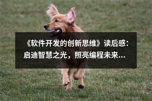 《軟件開發(fā)的創(chuàng)新思維》讀后感：啟迪智慧之光，照亮編程未來 (1050字)