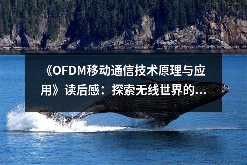 《OFDM移動通信技術原理與應用》讀后感：探索無線世界的神奇旅程 (900字)