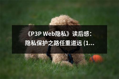 《P3P Web隱私》讀后感：隱私保護之路任重道遠 (1000字)