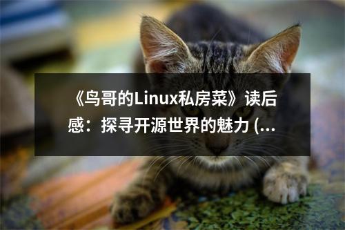 《鳥(niǎo)哥的Linux私房菜》讀后感：探尋開(kāi)源世界的魅力 (750字)