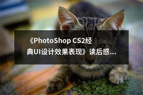 《PhotoShop CS2經(jīng)典UI設(shè)計效果表現(xiàn)》讀后感：感受視覺藝術(shù)的魅力 (700字)