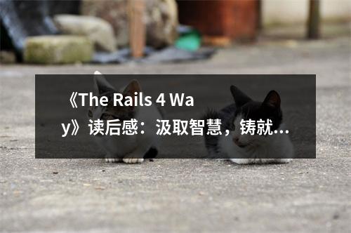 《The Rails 4 Way》讀后感：汲取智慧，鑄就卓越之路 (750字)
