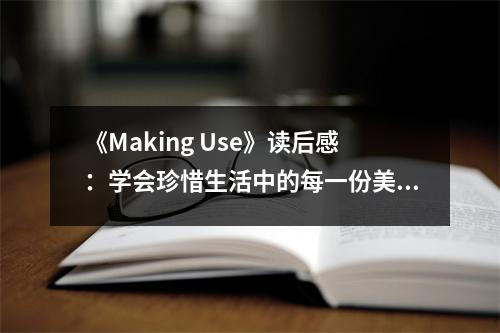 《Making Use》讀后感：學會珍惜生活中的每一份美好 (750字)
