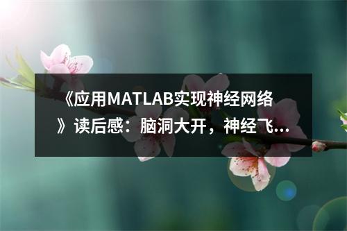 《應(yīng)用MATLAB實(shí)現(xiàn)神經(jīng)網(wǎng)絡(luò)》讀后感：腦洞大開(kāi)，神經(jīng)飛揚(yáng) (850字)