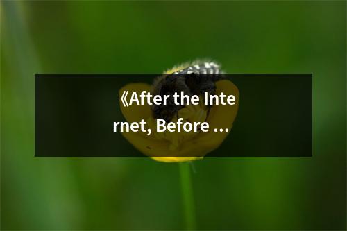 《After the Internet, Before Democracy》讀后感：網(wǎng)絡(luò)落幕，民主曙光初現(xiàn) (850字)