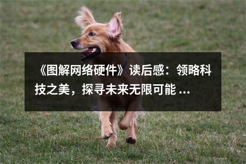 《圖解網(wǎng)絡(luò)硬件》讀后感：領(lǐng)略科技之美，探尋未來(lái)無(wú)限可能 (800字)