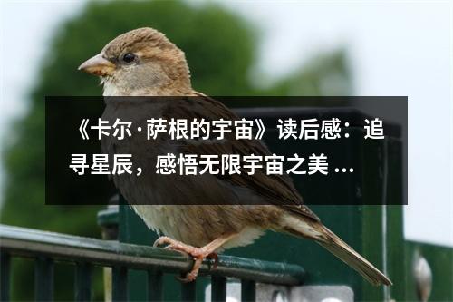 《卡爾·薩根的宇宙》讀后感：追尋星辰，感悟無限宇宙之美 (900字)