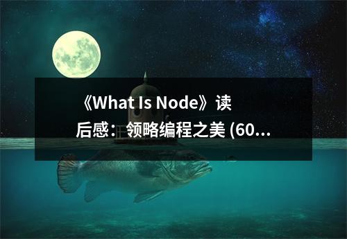 《What Is Node》讀后感：領(lǐng)略編程之美 (600字)