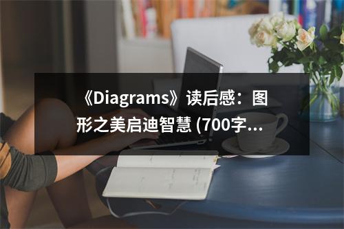 《Diagrams》讀后感：圖形之美啟迪智慧 (700字)