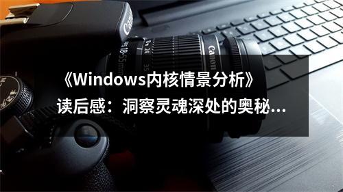 《Windows內(nèi)核情景分析》讀后感：洞察靈魂深處的奧秘 (800字)