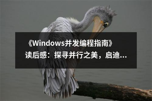 《Windows并發(fā)編程指南》讀后感：探尋并行之美，啟迪編程思維 (1050字)