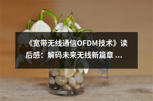 《寬帶無線通信OFDM技術(shù)》讀后感：解碼未來無線新篇章 (850字)