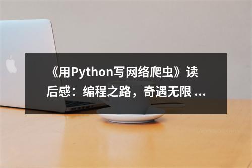 《用Python寫網(wǎng)絡(luò)爬蟲》讀后感：編程之路，奇遇無限 (950字)