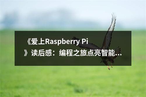 《愛上Raspberry Pi》讀后感：編程之旅點(diǎn)亮智能生活 (900字)